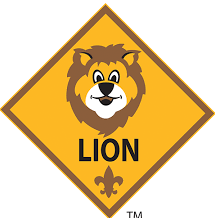 lion-scout-slide